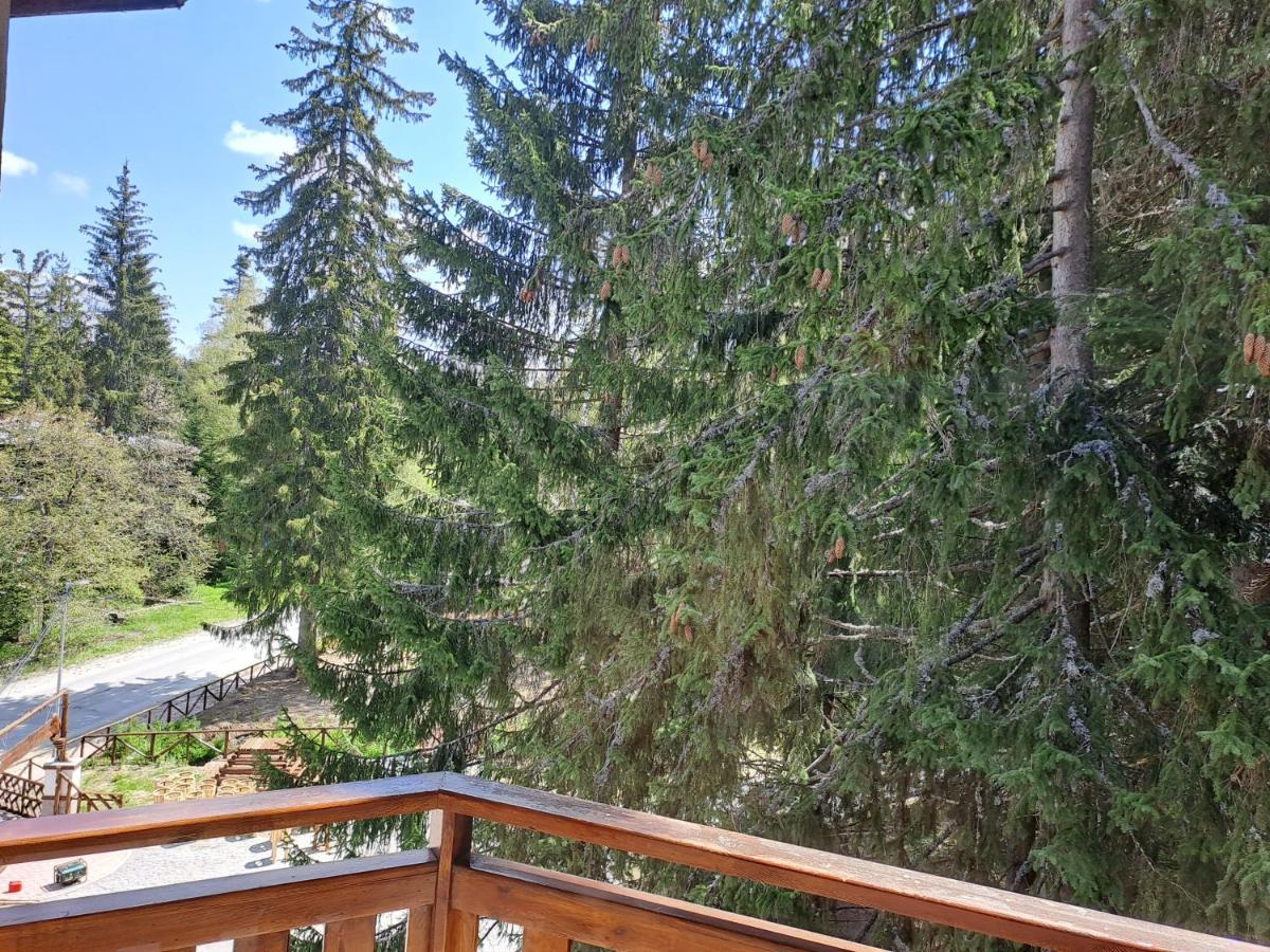 Family Studio 302, Villa Park Borovets Exterior photo